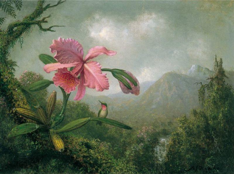 Martin Johnson Heade Orchid and Hummingbird near a Mountain Waterfall China oil painting art